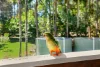 12 Kelly Court, Lake Macdonald, Qld 4563-Image