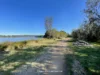 12 Kingfisher Circuit, Eden, NSW 2551-Image