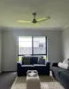 12 Kite Street, Mountain Creek, Qld 4557-Image