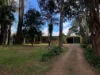12 Koala court, Witta, Qld 4552-Image