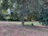 12 Koala court, Witta, Qld 4552-Image
