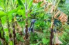12 Kohinoor Street, Anula, NT 0812-Image