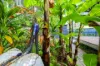 12 Kohinoor Street, Anula, NT 0812-Image