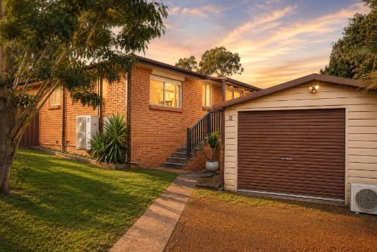 12 Kuala Close, Dean Park, NSW 2761