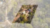 12 Lanena Crescent, Lanena, Tas 7275-Image