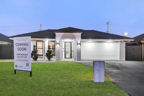 12 Lanier Close, Oxenford, Qld 4210
