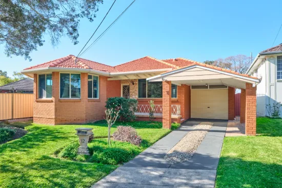 12 Larkview Avenue, Chester Hill, NSW 2162