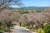 12 Law Court, Greenwith, SA 5125-Image
