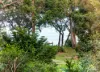 12 Lawrence Court, Metung, Vic 3904-Image