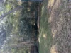 12 Leyton Street, Grange, Qld 4051-Image