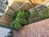 12 Leyton Street, Grange, Qld 4051-Image