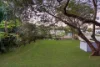 12 Liverpool Street, North Ipswich, Qld 4305-Image