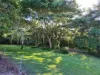 12 Maria Court, Ingham, Qld 4850-Image