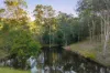 12 Mason Court, Samsonvale, Qld 4520-Image