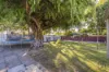 12 Mathew Street, Falcon, WA 6210-Image