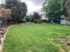 12 McLay Street, Naracoorte, SA 5271-Image