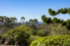 12 Mcstay Street, Middle Ridge, Qld 4350-Image