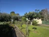 12 Melrose Avenue, Beulah Park, SA 5067-Image