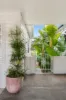 12 Meredith Street, New Lambton, NSW 2305-Image