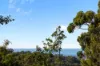 12 Minkara Road, Bayview, NSW 2104-Image