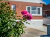 12 Moody Street, Burnie, Tas 7320-Image