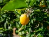 12 Moody Street, Burnie, Tas 7320-Image