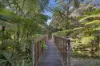 12 Morrice Street, Lane Cove, NSW 2066-Image