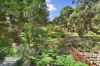 12 Morrice Street, Lane Cove, NSW 2066-Image