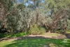 12 Mortlock Close, Jane Brook, WA 6056-Image
