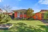 12 Muir Street, Mount Waverley, Vic 3149-Image