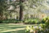 12 Myosotis Street, Bowral, NSW 2576-Image