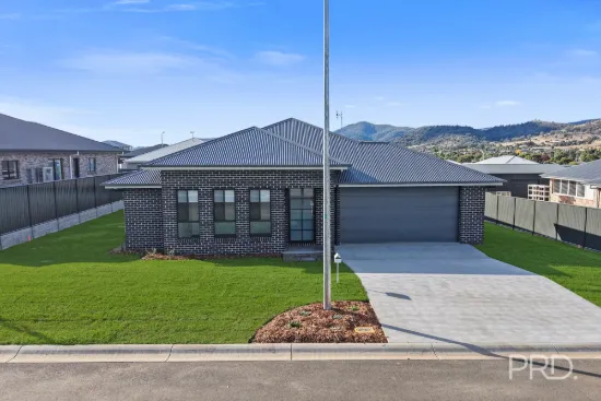 12 Nankeen Avenue, Moore Creek, NSW 2340
