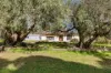 12 Napier Street, Farrell Flat, SA 5416-Image
