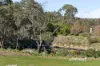 12 National Park Road, Swan View, WA 6056-Image