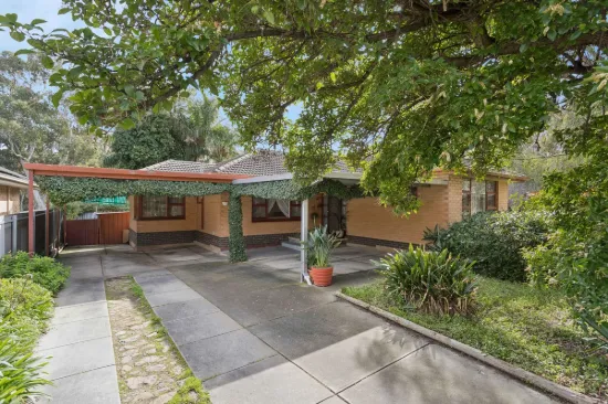 12 Norfolk Avenue, Valley View, SA 5093