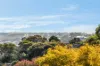 12 Orana Road, Highton, Vic 3216-Image