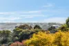 12 Orana Road, Highton VIC 3216-Image