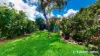 12 Orchard Avenue, Boreen Point, Qld 4565-Image