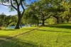 12 Oriana Crescent, Yeronga, Qld 4104-Image
