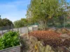 12 Paringa Avenue, Lanena, Tas 7275-Image