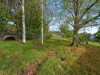 12 Paringa Avenue, Lanena, Tas 7275-Image