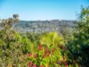 12 Parkwalk Drive, Goonellabah, NSW 2480-Image