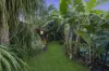 12 Pettys Road, Everton Hills, Qld 4053-Image