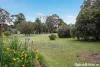 12 Plantation Road, Riddells Creek, Vic 3431-Image
