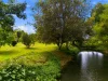 12 Pottsville Road, Mooball, NSW 2483-Image
