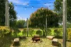 12 Pottsville Road, Mooball, NSW 2483-Image