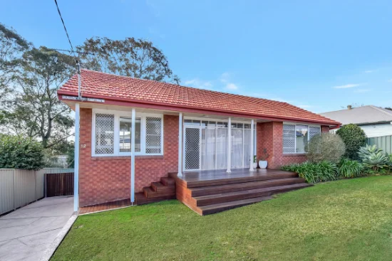 12 Rae Street, Birmingham Gardens, NSW 2287