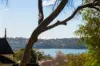 12 Redan Street, Mosman, NSW 2088-Image
