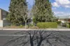 12 Reid Avenue, Tranmere, SA 5073-Image