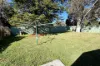 12 Richards Street, Blaxland, NSW 2774-Image